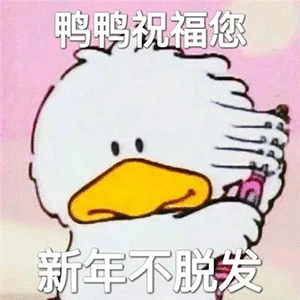 图片[7]-新年要用的祝福语-喜欢表情包分享—全网表情包
