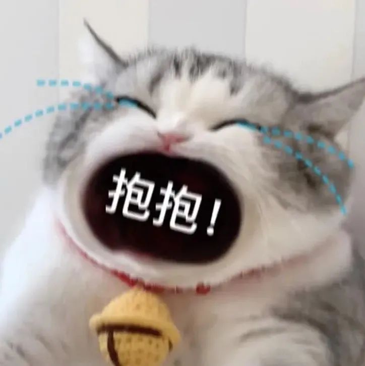 图片[29]-45个聊天撒娇必用大嘴猫表情-喜欢表情包分享—全网表情包