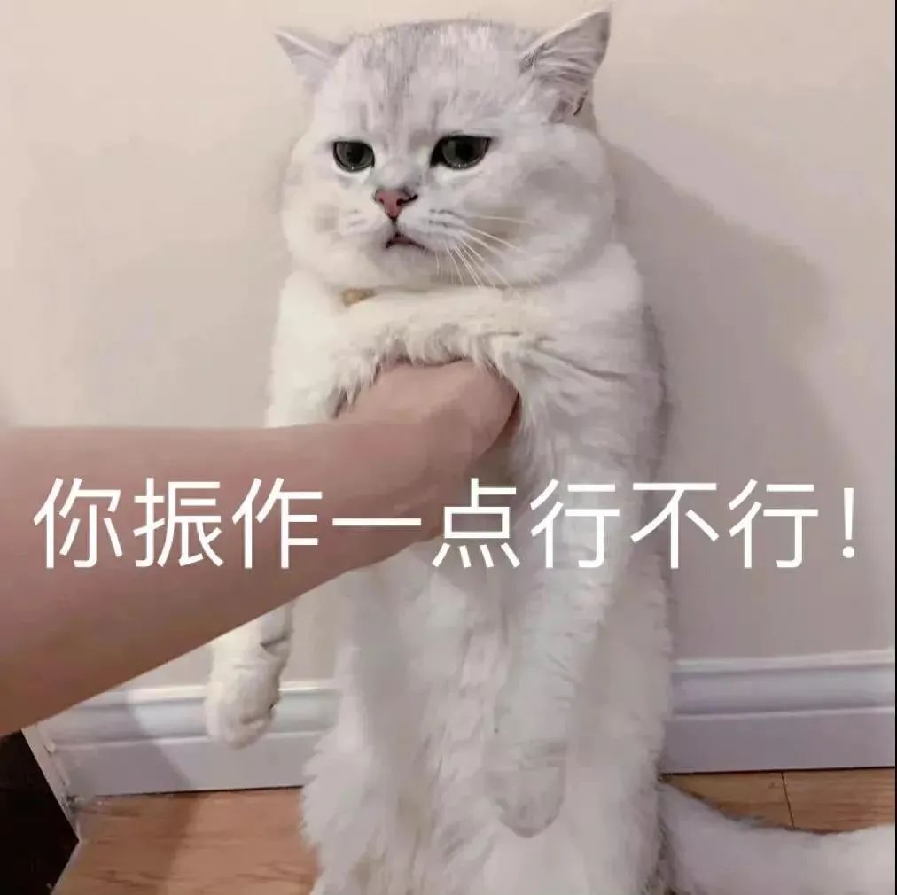 图片[10]-表情包-喜欢表情包分享—全网表情包