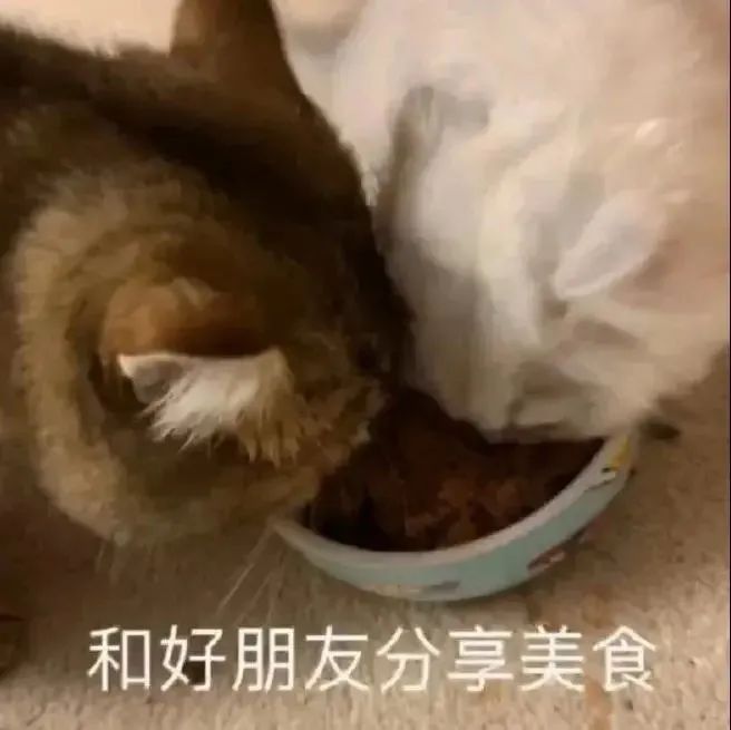 图片[26]-你想要我的亲亲吗-喜欢表情包分享—全网表情包