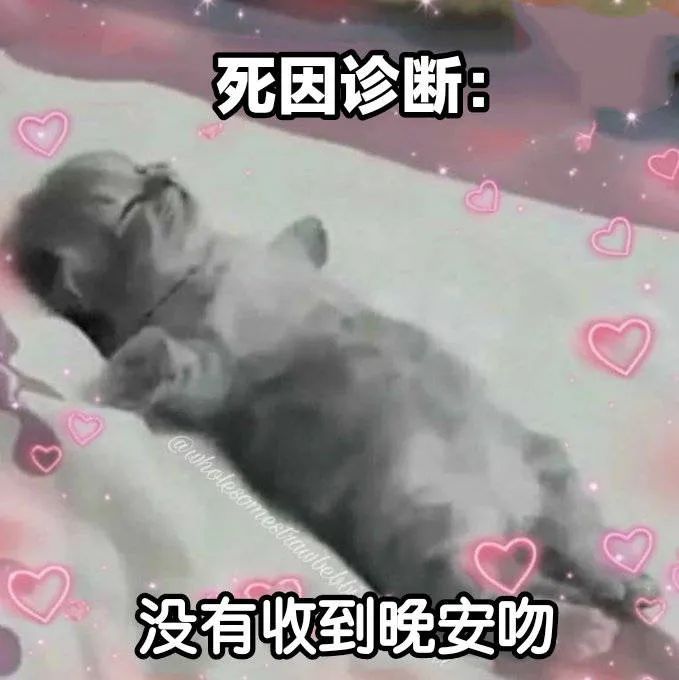 图片[13]-这水瓶就太高了-喜欢表情包分享—全网表情包