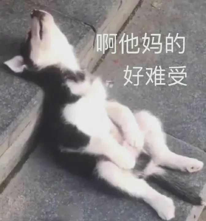 图片[8]-藕买嘎-喜欢表情包分享—全网表情包