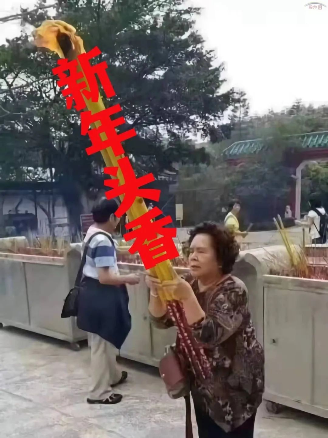 图片[24]-垮起个豹豹脸-喜欢表情包分享—全网表情包
