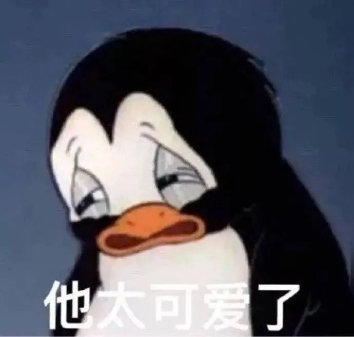 图片[14]-表情包-喜欢表情包分享—全网表情包