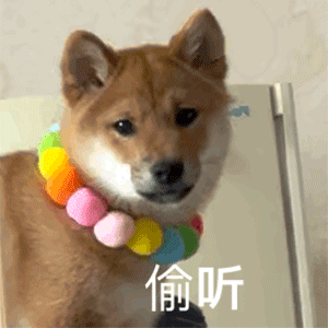 图片[1]-有没有人跟我处对象-喜欢表情包分享—全网表情包