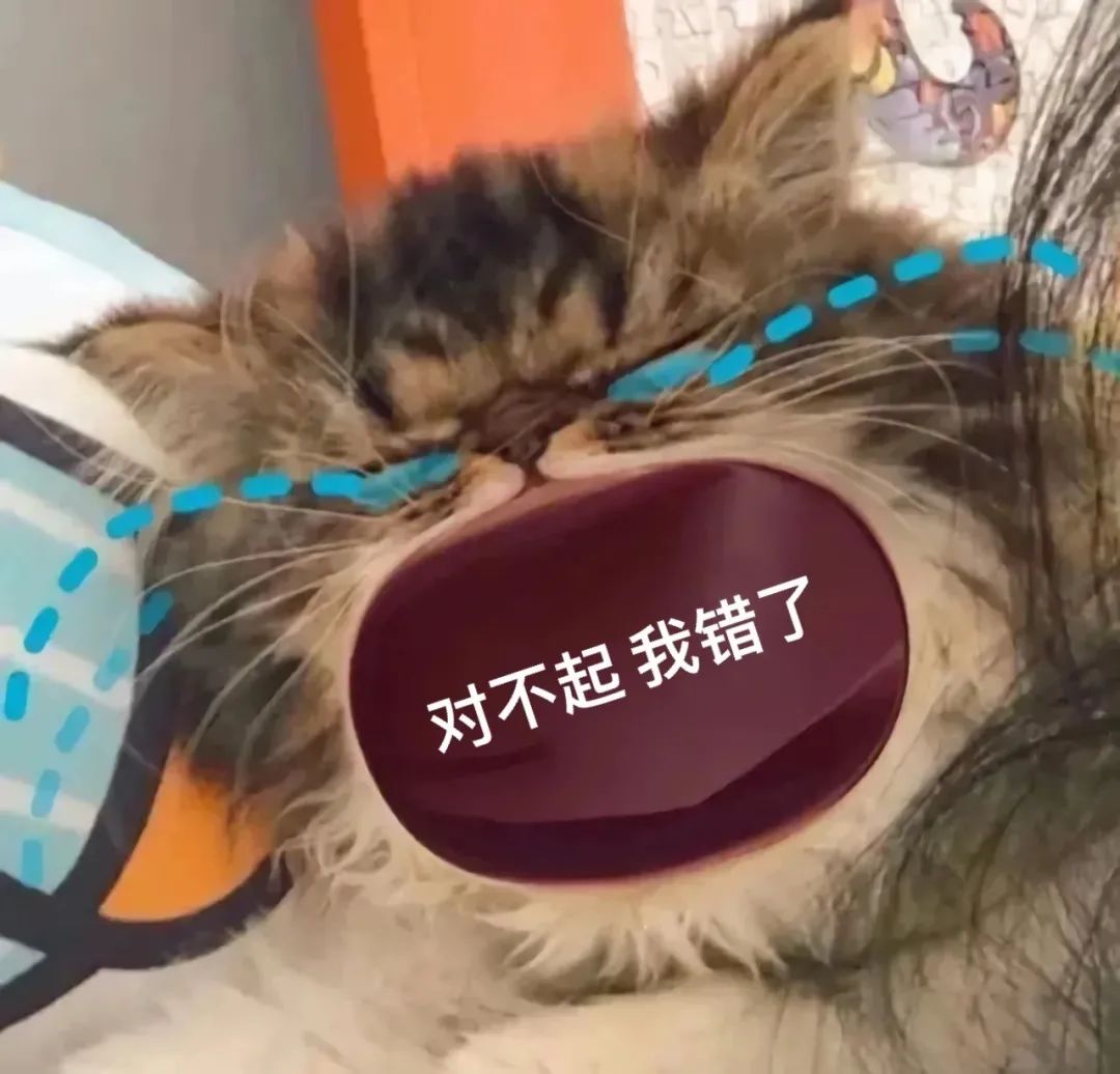 图片[6]-45个聊天撒娇必用大嘴猫表情-喜欢表情包分享—全网表情包