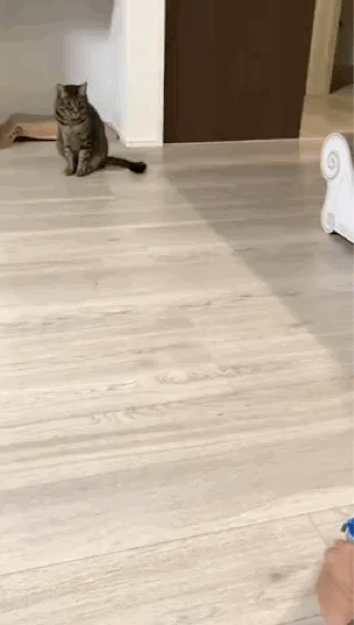 图片[1]-【GIF】哈哈哈嗝哈哈哈-喜欢表情包分享—全网表情包