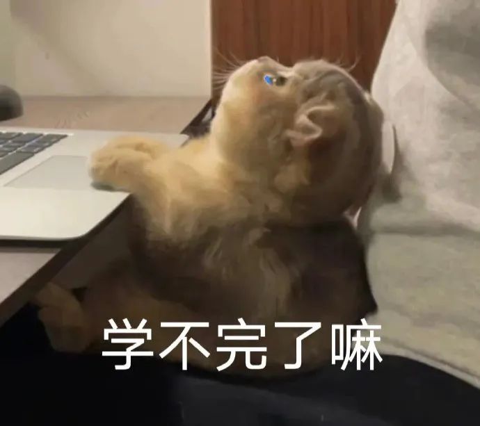 图片[6]-表情包-喜欢表情包分享—全网表情包