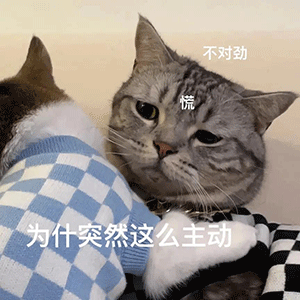 图片[3]-果然是在做羞羞的事啊-喜欢表情包分享—全网表情包