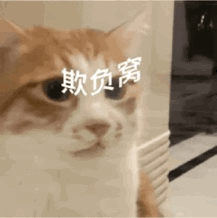图片[11]-欺负窝-喜欢表情包分享—全网表情包
