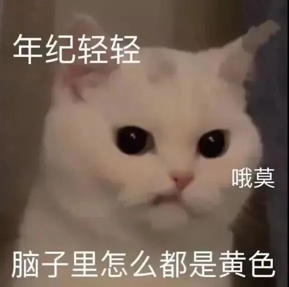 图片[7]-收图时间到~~-喜欢表情包分享—全网表情包