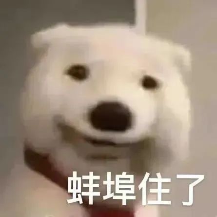 图片[15]-栓 Q 您嘞-喜欢表情包分享—全网表情包