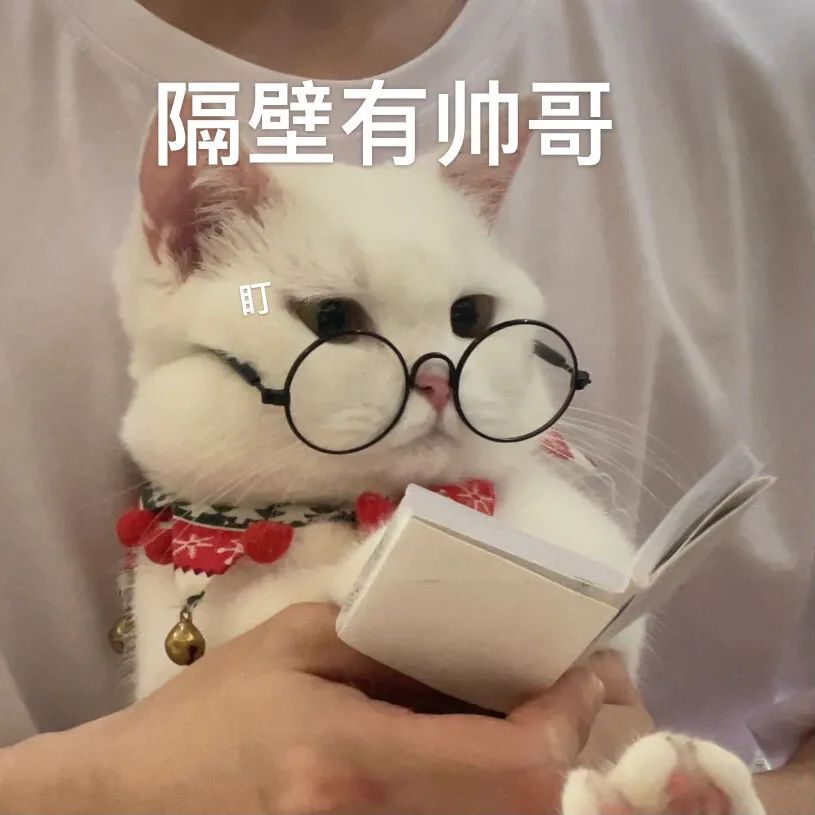 图片[32]-你们要的冰墩墩超火表情包-喜欢表情包分享—全网表情包