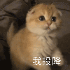 图片[22]-打住打住-喜欢表情包分享—全网表情包
