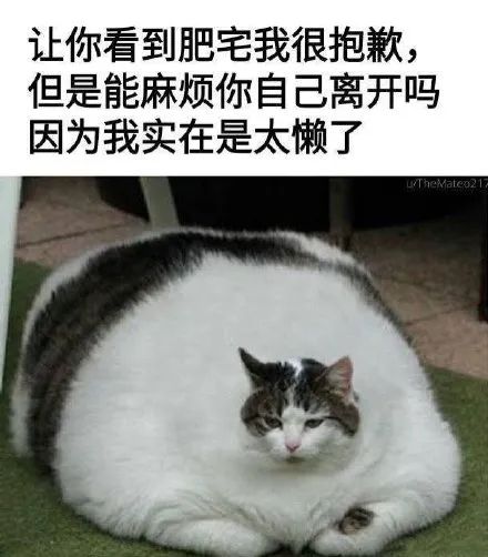 图片[6]-表情包 | 你不会以为自己很帅吧？-喜欢表情包分享—全网表情包