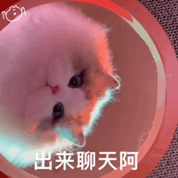 图片[7]-有黑丝吗-喜欢表情包分享—全网表情包