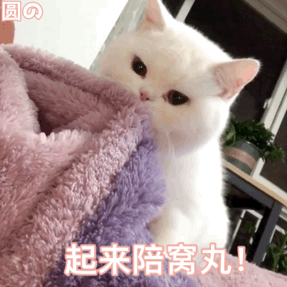 图片[39]-60个聊天可爱表情包-喜欢表情包分享—全网表情包