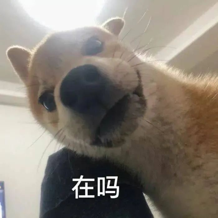 图片[17]-沙雕表情包-喜欢表情包分享—全网表情包