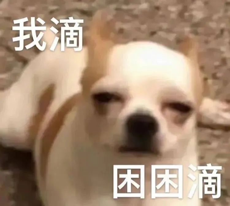 图片[24]-栓 Q 您嘞-喜欢表情包分享—全网表情包
