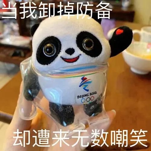 图片[18]-冰墩墩表情包 | 我是他的表弟铁憨憨-喜欢表情包分享—全网表情包
