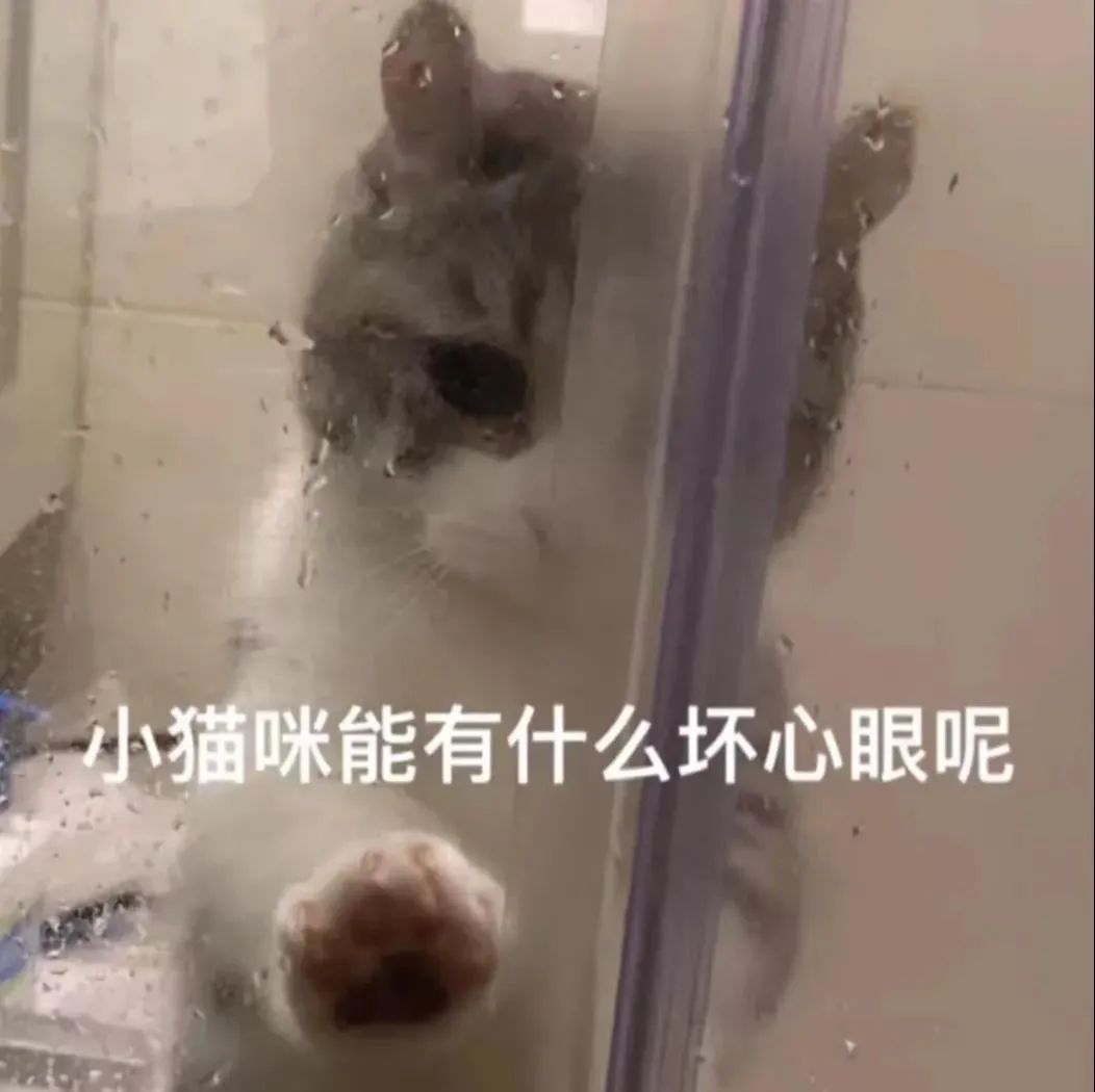 图片[6]-拿撸路多-喜欢表情包分享—全网表情包