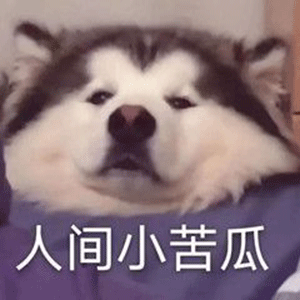 图片[37]-60个沙雕聊天斗图表情包-喜欢表情包分享—全网表情包