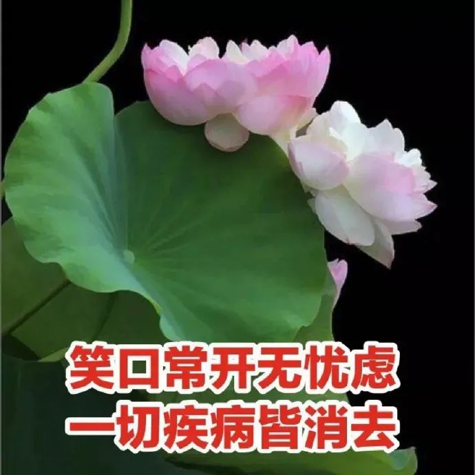 图片[5]-表情包-喜欢表情包分享—全网表情包