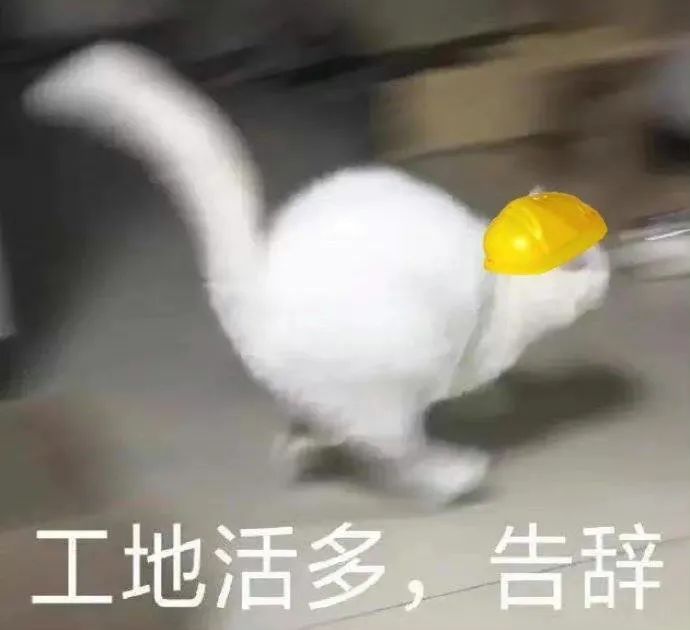 图片[19]-表情包-喜欢表情包分享—全网表情包