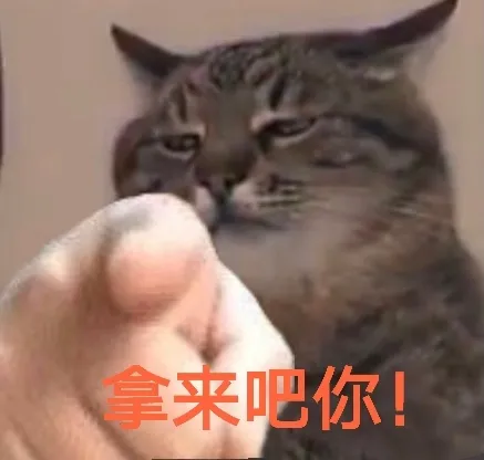 8129b02562844eb3723ccedddc01909c