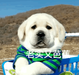 图片[7]-宝！亲我这里！-喜欢表情包分享—全网表情包