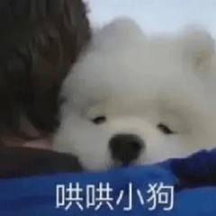 图片[7]-晚安，记得撸了再睡-喜欢表情包分享—全网表情包