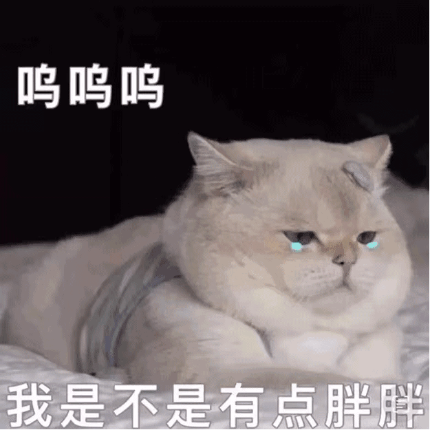 图片[13]-周末好！收图时间到-喜欢表情包分享—全网表情包