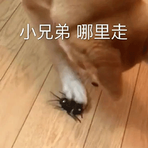 图片[8]-坏女人-喜欢表情包分享—全网表情包