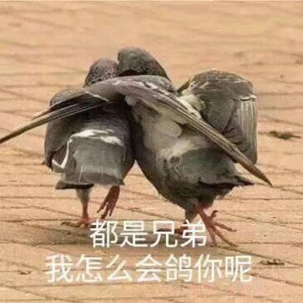 图片[2]-奇怪的表情增加了-喜欢表情包分享—全网表情包