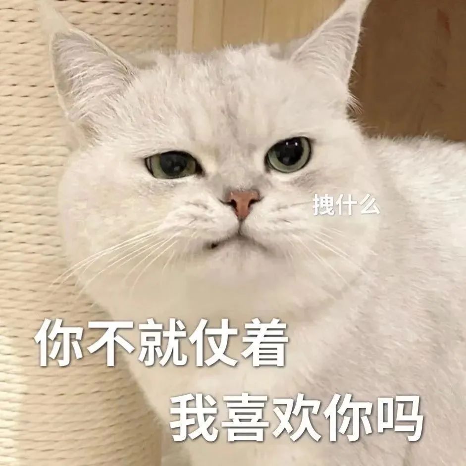 图片[14]-你在狂什么-喜欢表情包分享—全网表情包