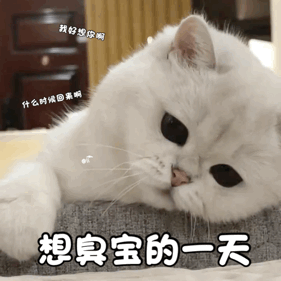图片[27]-溞货，我脸都红了！-喜欢表情包分享—全网表情包