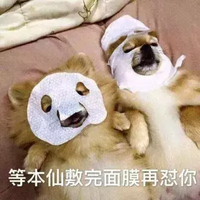 图片[25]-给你介绍个女朋友-喜欢表情包分享—全网表情包