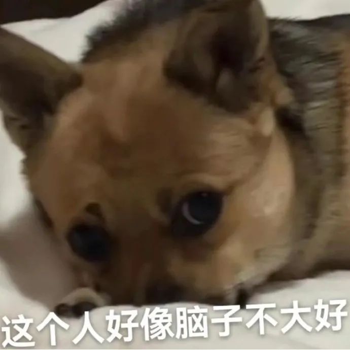 图片[21]-表情包-喜欢表情包分享—全网表情包