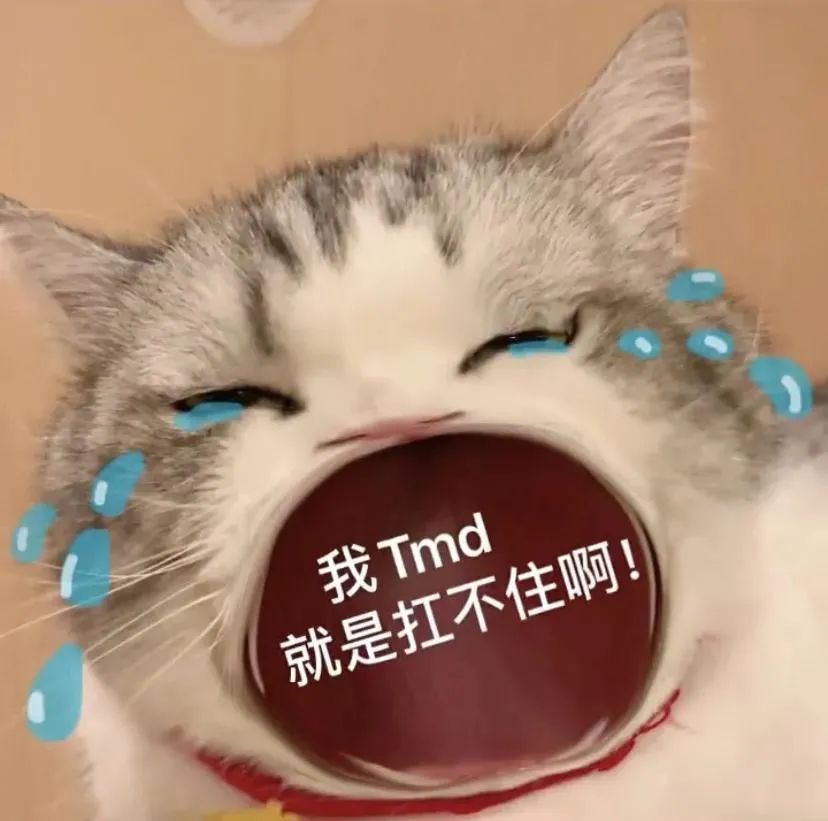 图片[30]-45个聊天撒娇必用大嘴猫表情-喜欢表情包分享—全网表情包