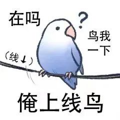 图片[17]-最近热门鸟语表情-喜欢表情包分享—全网表情包