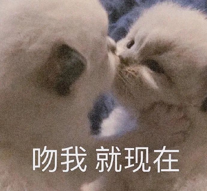 图片[39]-抖音热门表情包丨我今天巨巨巨巨巨巨巨想你-喜欢表情包分享—全网表情包