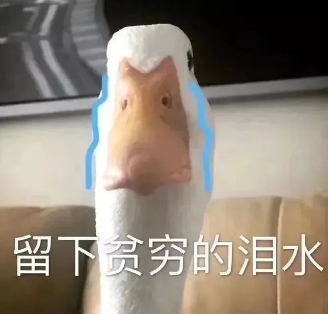 图片[28]-超级可爱的小表情包~-喜欢表情包分享—全网表情包