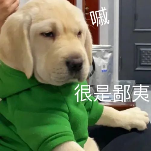 图片[14]-打出一连串骂你的脏话-喜欢表情包分享—全网表情包
