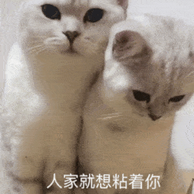 图片[6]-表情包-喜欢表情包分享—全网表情包