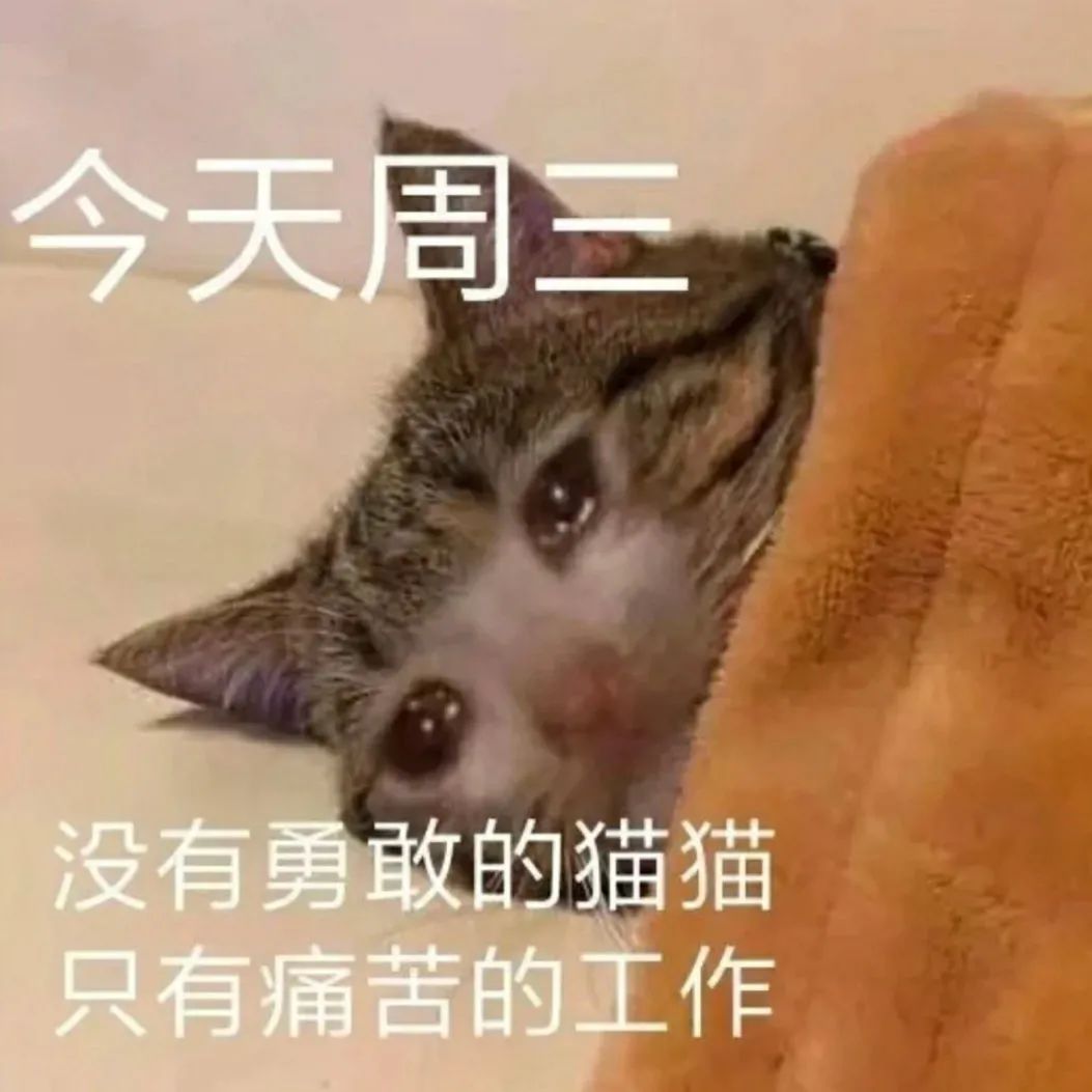 图片[3]-奇怪的表情增加了-喜欢表情包分享—全网表情包