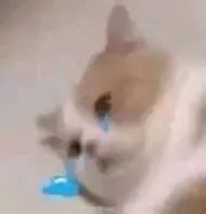 图片[6]-伤心流泪猫猫头表情包-喜欢表情包分享—全网表情包