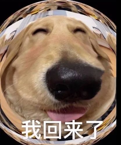 图片[8]-老婆开门-喜欢表情包分享—全网表情包