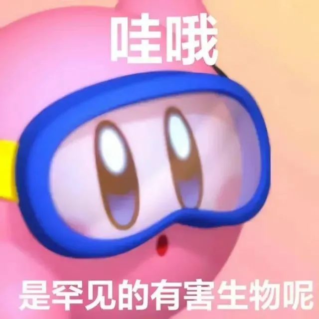 图片[16]-表情包-喜欢表情包分享—全网表情包