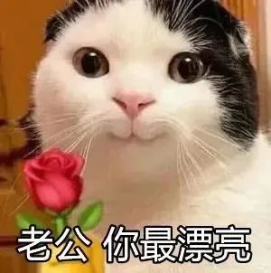 图片[16]-把心给你-喜欢表情包分享—全网表情包