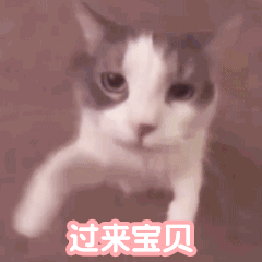 图片[13]-come on，宝贝-喜欢表情包分享—全网表情包